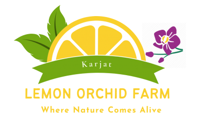 Welcome to lemon orchid farm